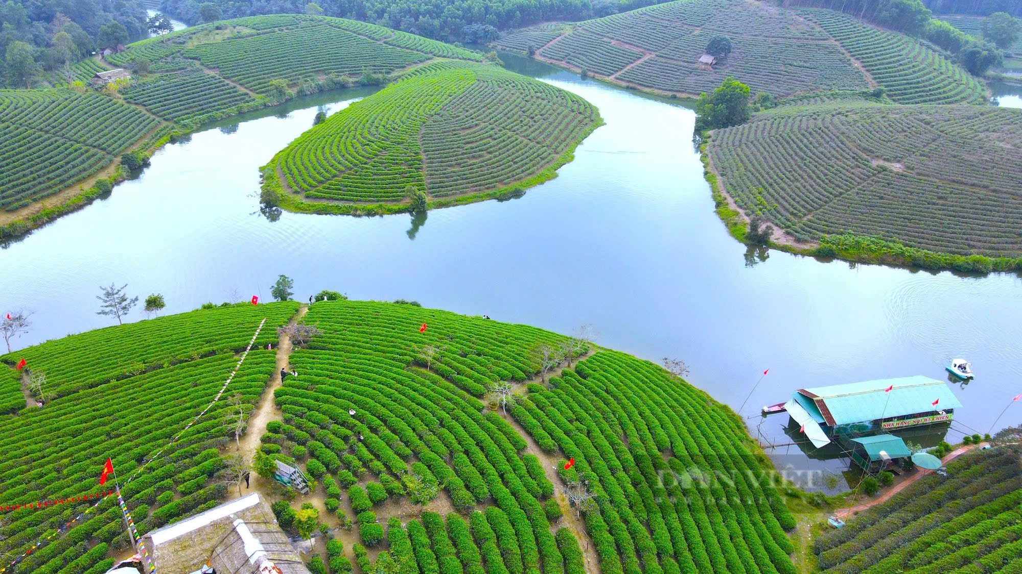 Nơi này ở Nghệ An có những hòn đảo nổi, trồng bạt ngàn thứ cây xanh mướt, khách tây tìm về quay phim, chụp ảnh - Ảnh 1.