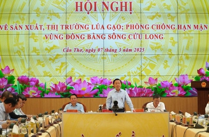 Phó Thủ tướng Chính phủ Trần Hồng Hà chủ trì Hội nghị về sản xuất, tiêu thụ lúa gạo và tình hình hạn hán, xâm nhập mặn vùng ĐBSCL đầu năm 2025. Ảnh: Kim Anh.