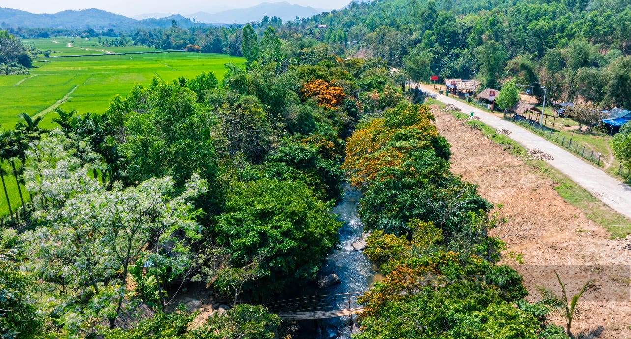 Làng này ở Bình Định cảnh đẹp như phim, loạt gốc trang rừng bung hoa nở rộ cạnh con suối nổi tiếng - Ảnh 8.