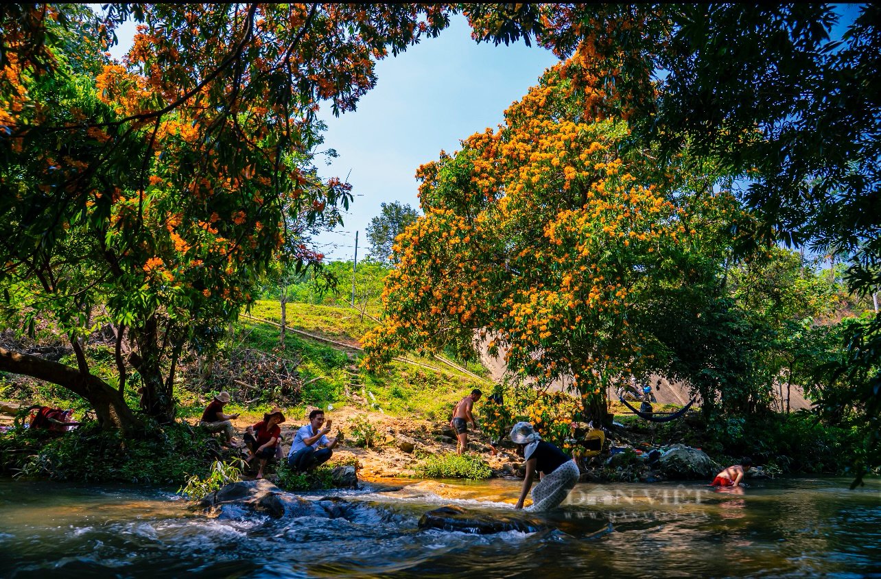 Làng này ở Bình Định cảnh đẹp như phim, loạt gốc trang rừng bung hoa nở rộ cạnh con suối nổi tiếng - Ảnh 5.