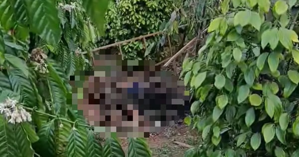 Couple tragically died in coffee plantation