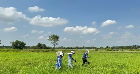 สำรวจความสนใจของนักลงทุนในจุดพักรถทางด่วนโฮจิมินห์-ม็อกไบ