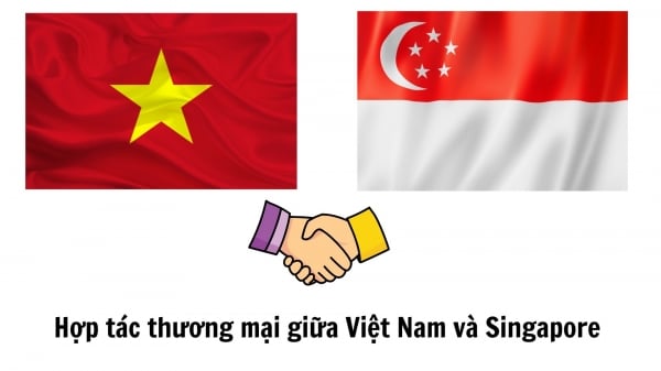 Coopération commerciale entre le Vietnam et Singapour