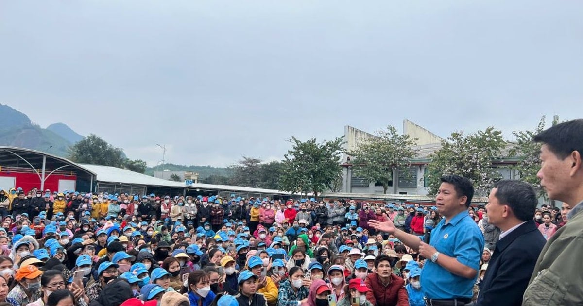 การประกันสิทธิของคนงานในกรณีที่เกิดการหยุดงานร่วมกัน