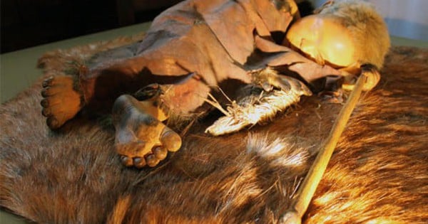 28,000-year-old tomb buries a hybrid of two species