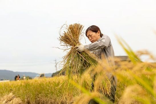 Phụ nữ tiên phong trong nền kinh tế xanh toàn cầu