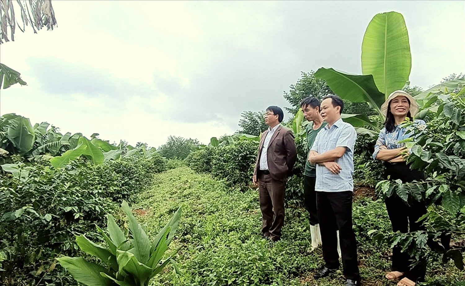 Ông Nguyễn Mạnh Hùng, Chủ tịch UBND huyện A Lưới đến thăm mô hình kinh tế của ông Lê Như Tự. 