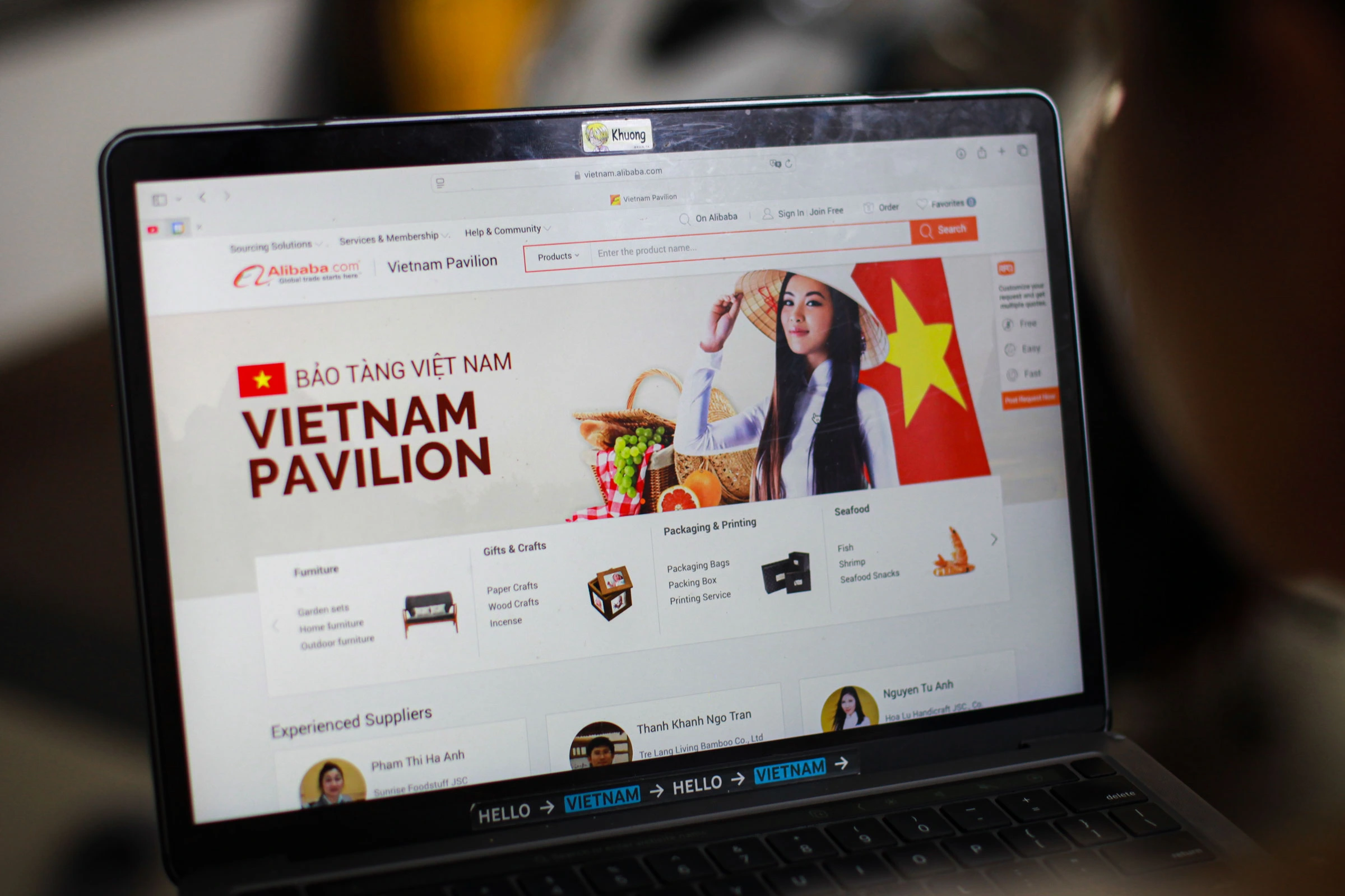 Digital Capability: Vietnam's Challenge in the Global E-Commerce Playground