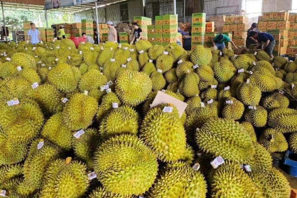 การค้าระหว่างเวียดนามและจีนเกิน 31 พันล้านเหรียญสหรัฐ