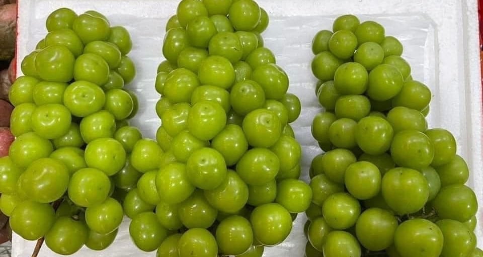 Uvas de leche chinas: productos de primera calidad más baratos que las espinacas de agua en el mercado vietnamita