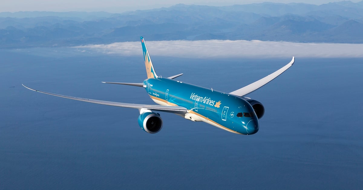 Strike in Germany affects many Vietnam Airlines flights