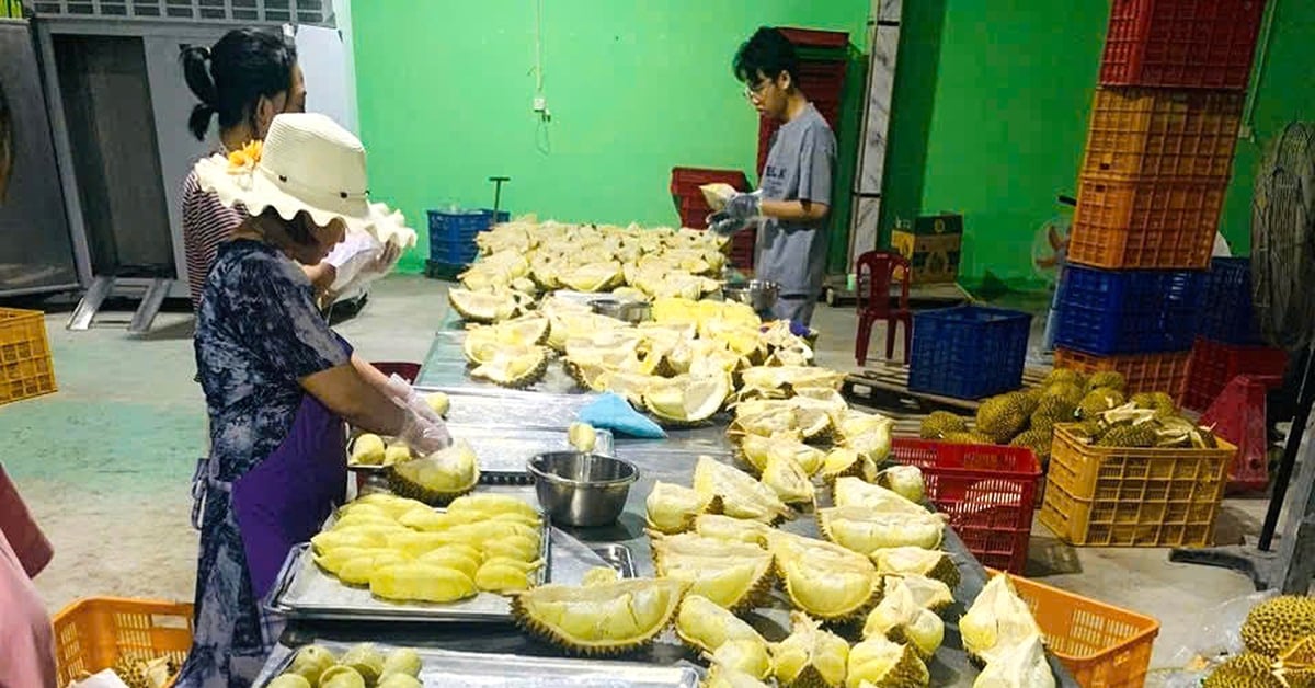 Schwierigkeiten beim Export gefrorener Durian nach China