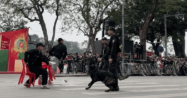 Feast your eyes on the performance of cavalry and police dogs suppressing crime by Hoan Kiem Lake