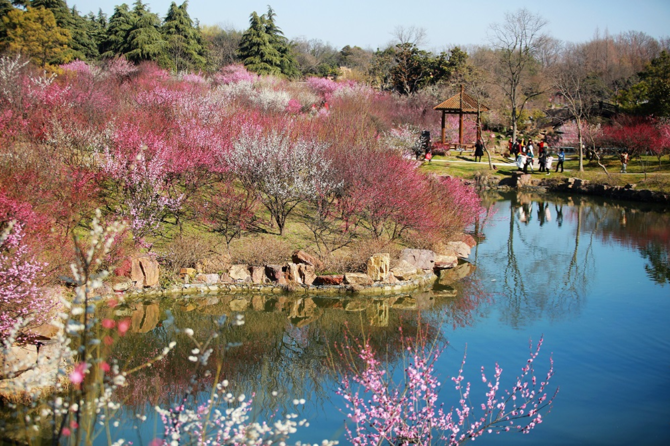 China-tourist-destinations-in-spring--12-.png
