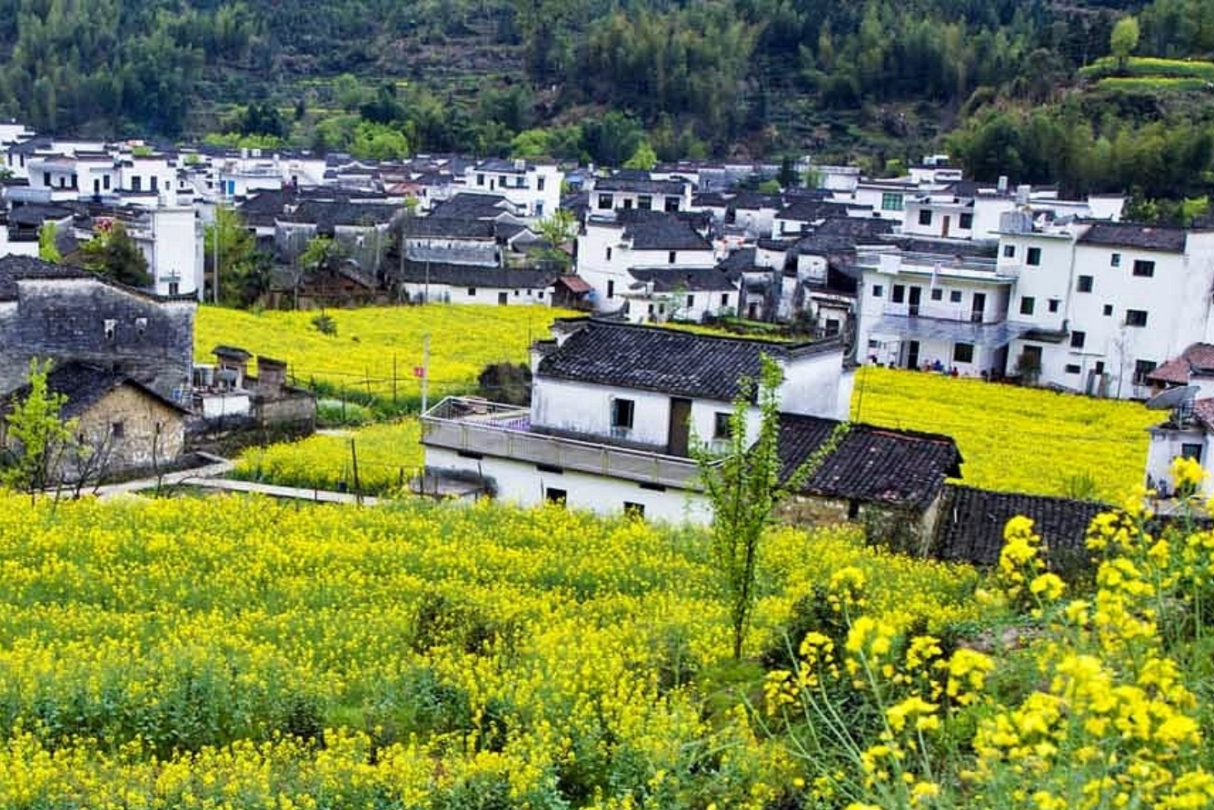 China-tourist-destinations-in-spring--7-.png