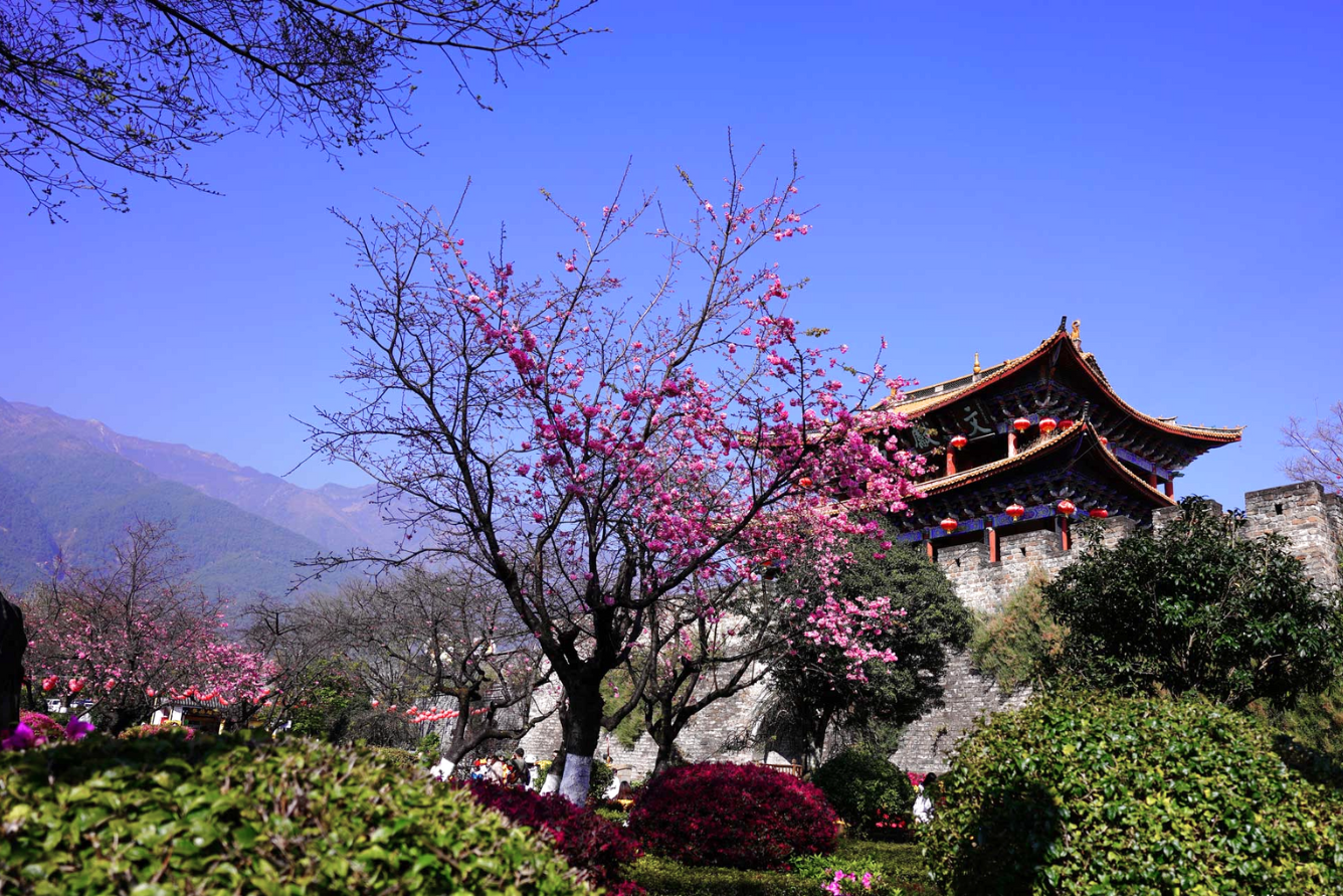 China-tourist-destinations-in-spring--8-.png