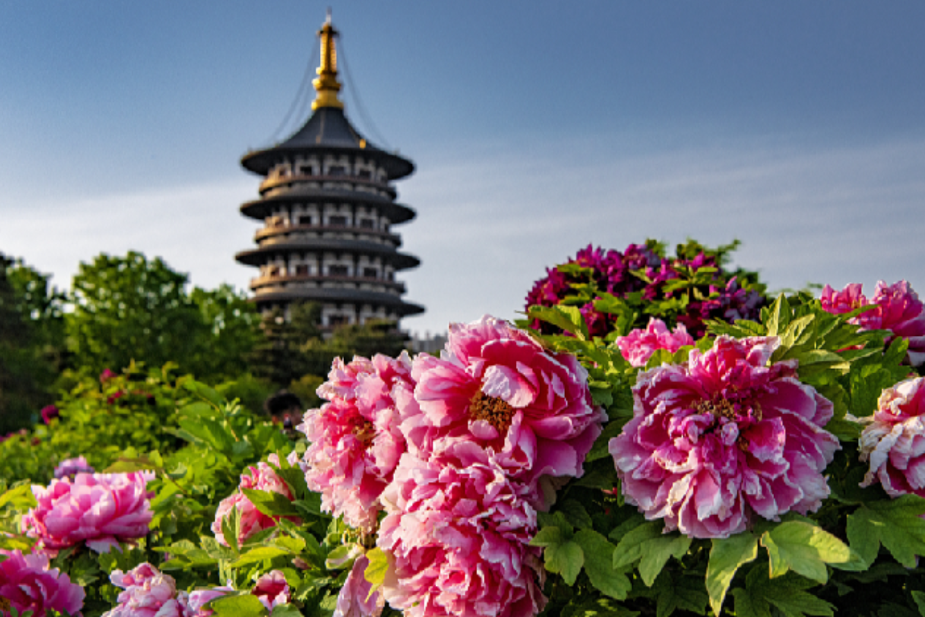 China-tourist-destinations-in-spring--5-.png