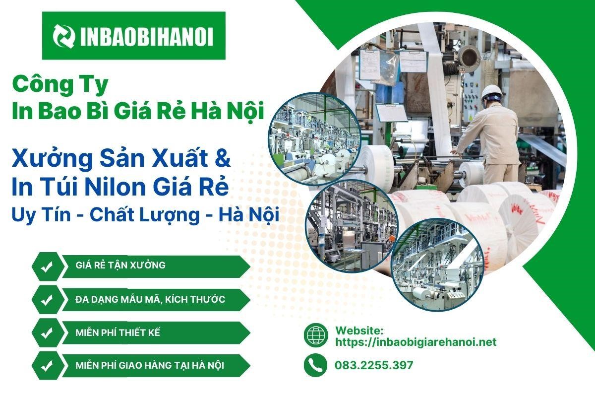 Cheap, quality plastic bag printing service at Hanoi Cheap Packaging Printing Company