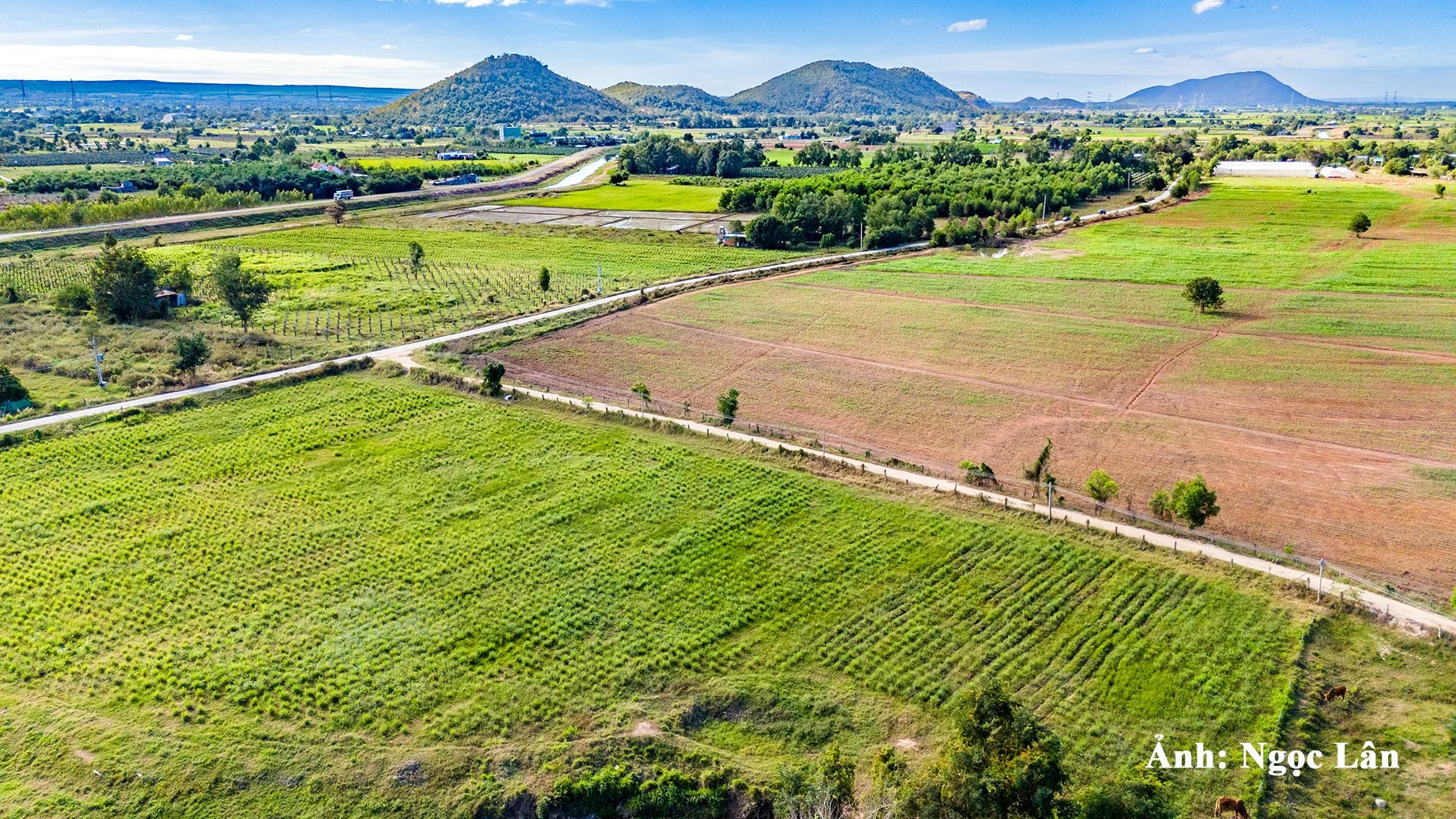 dji_20250116084049_0192_d.jpg