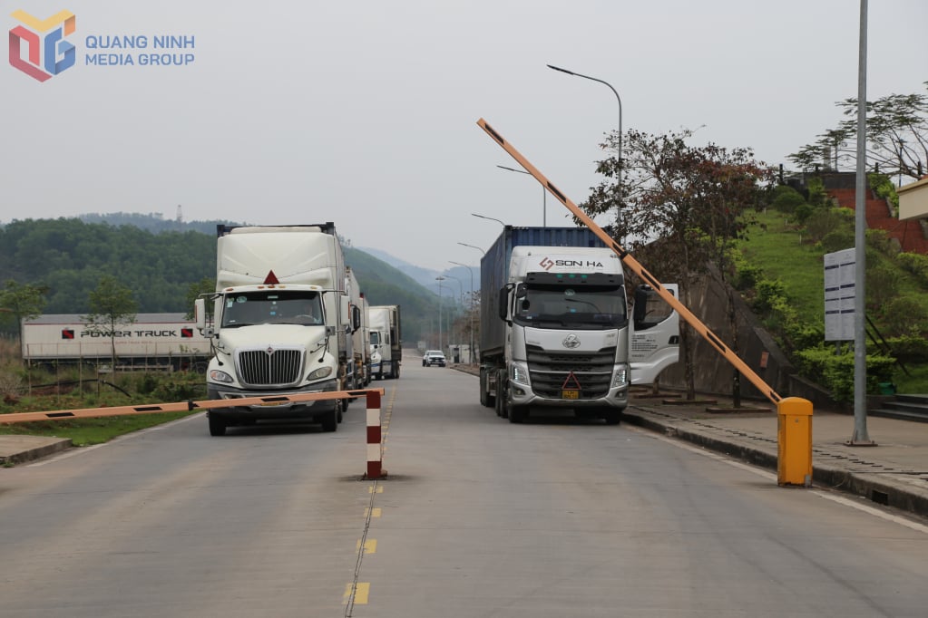 Exportación de mercancías a través de la apertura del puente de pontones temporal en el kilómetro 3+4 de Hai Yen