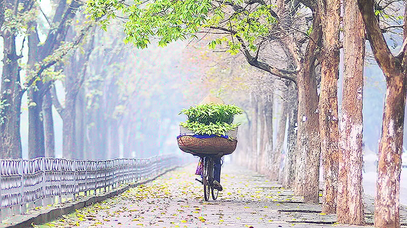 រូបថតគំនូរ។ ប្រភព៖ អ៊ីនធឺណិត