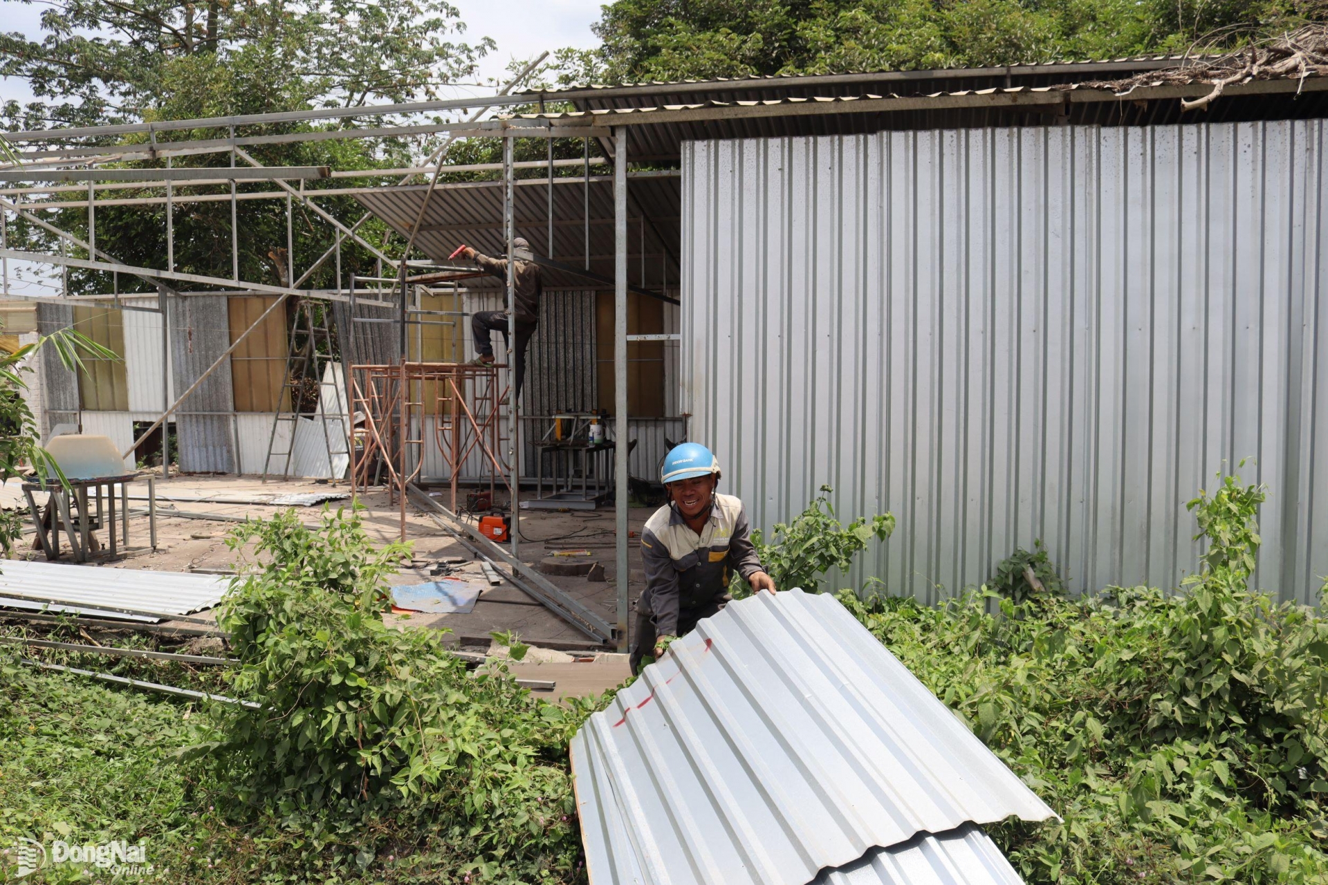 គ្រួសារមួយនៅឃុំឡុងអានរុះរើសំណង់ដើម្បីប្រគល់ការដ្ឋាន។ រូបថត៖ Hoang Loc