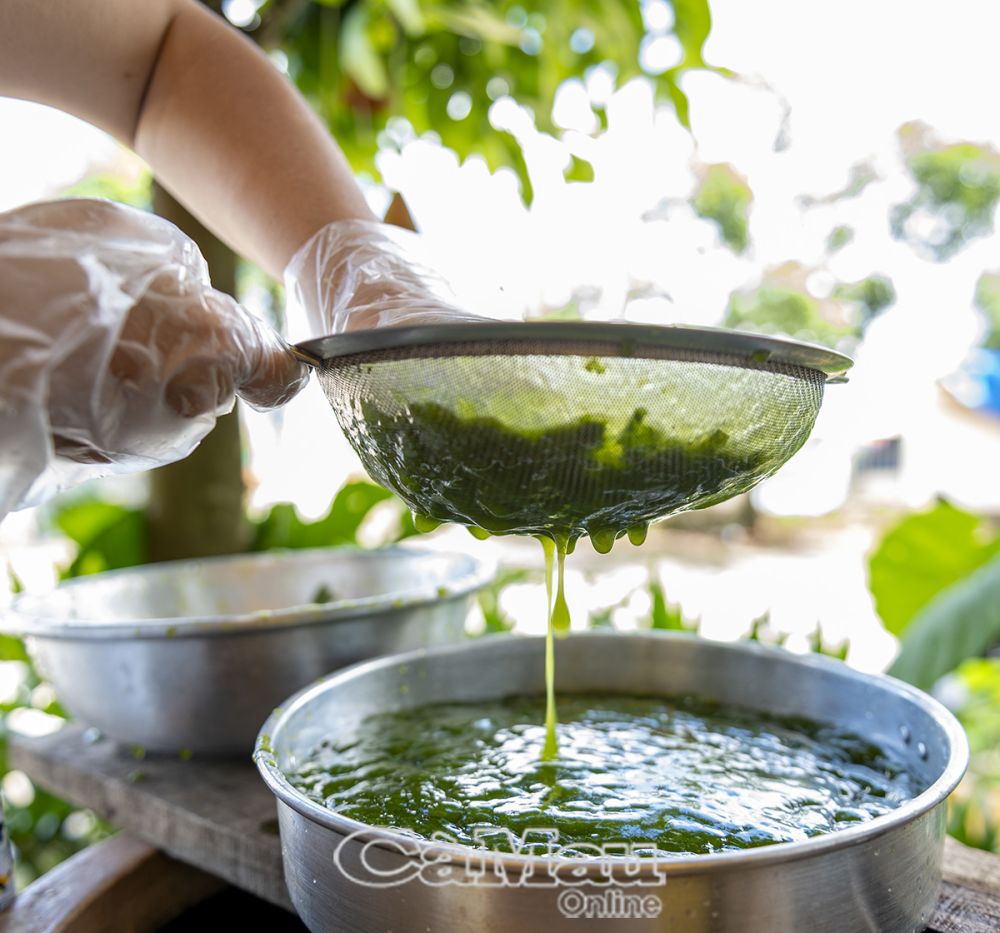 Coloque el agua de gelatina de hierba en un colador, tome el agua en un recipiente (deseche el residuo) y deje que el agua de gelatina de hierba se seque durante unos 30 minutos, el agua de gelatina de hierba se congelará, póngala en el refrigerador y estará lista.