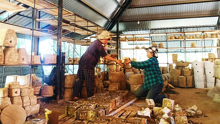 Atelier de poterie au design unique, photo 2