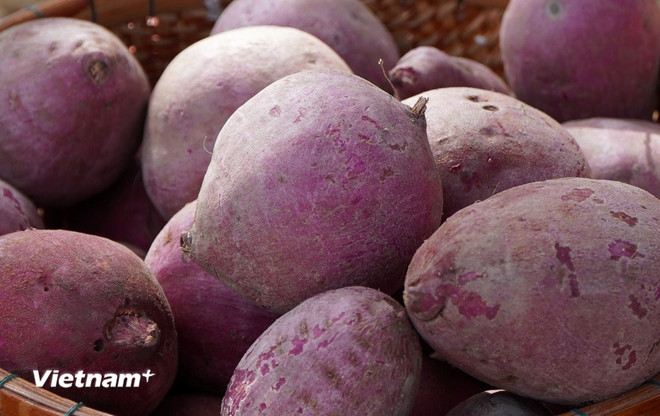 Alimentos que ayudan a las mujeres a decir adiós a la piel seca