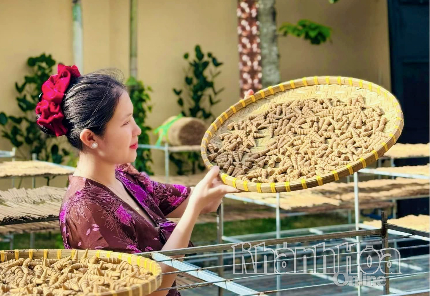 La Sra. Ngoc Anh con un lote de brotes de madera de agar recién horneados.