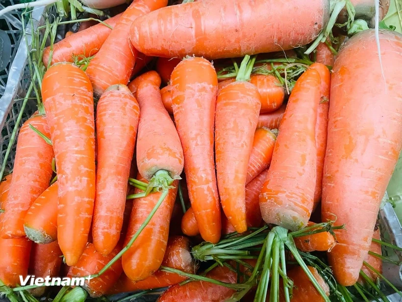 Alimentos que ayudan a las mujeres a decir adiós a la piel seca