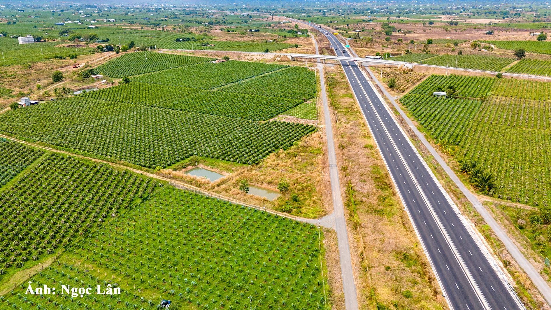 dji_20250320102656_0282_d.jpg