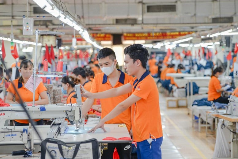 Tăng cường quản lý nguyên liệu đầu vào, ngăn chặn gian lận xuất xứ- Ảnh 1.