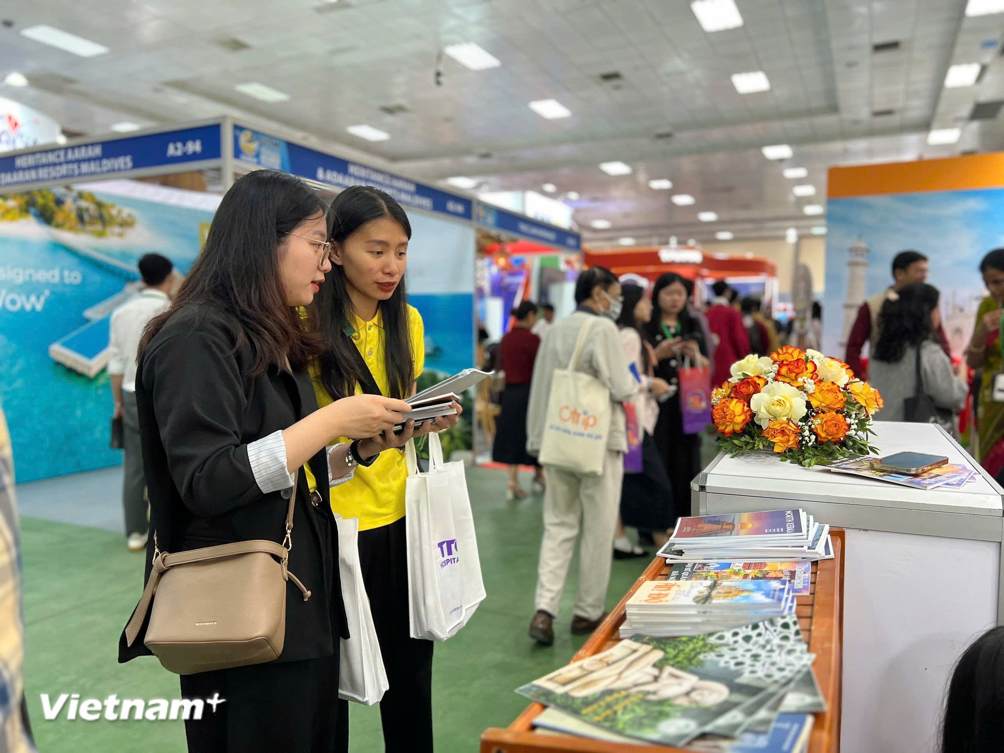 vnp-vitm-1-11.jpg