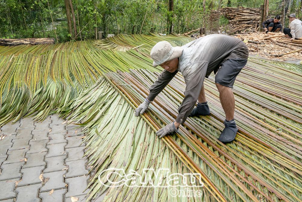 After cutting the leaves, tear them in half and let the leaf stems dry before thatching the house.