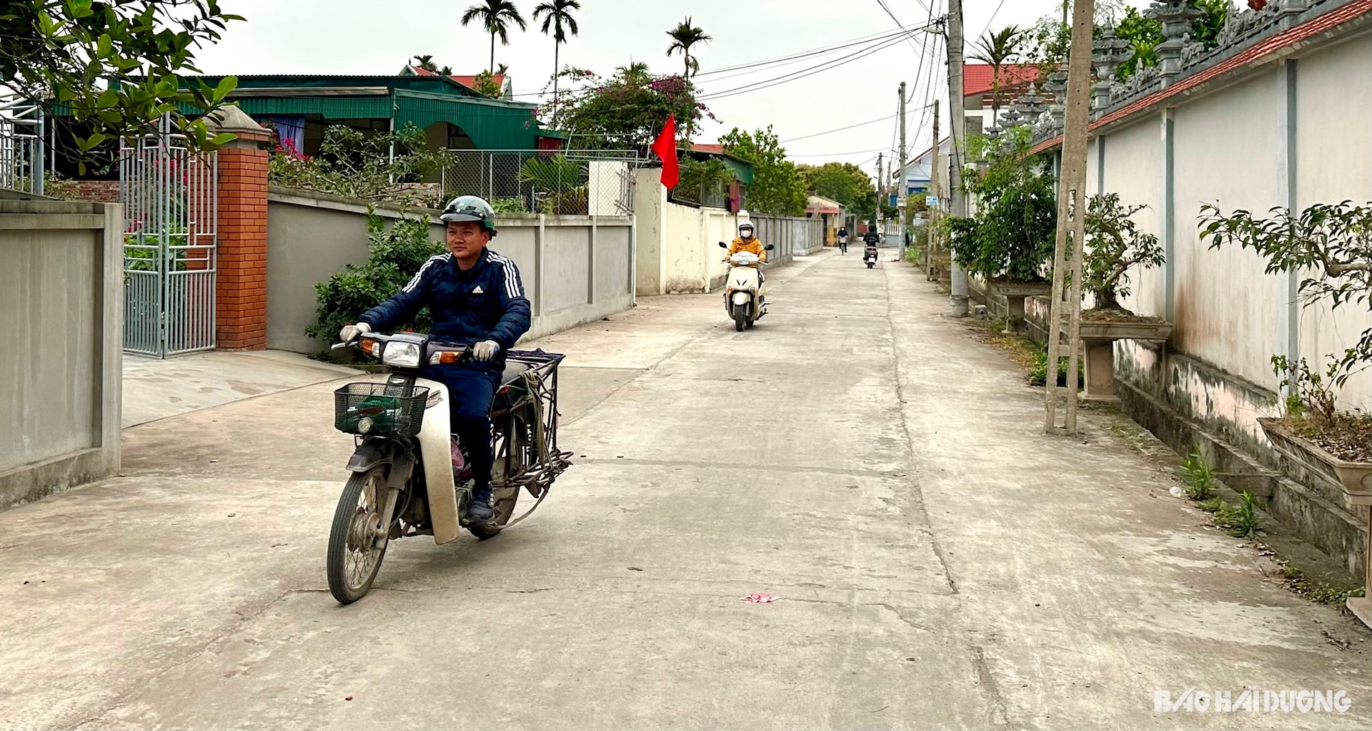 road-lang.jpg