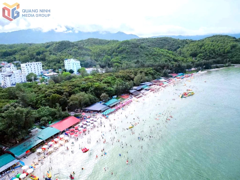 Minh Chau tiene una hermosa playa, encima hay un bosque primigenio de árboles cajeput que crean sus propias características únicas.