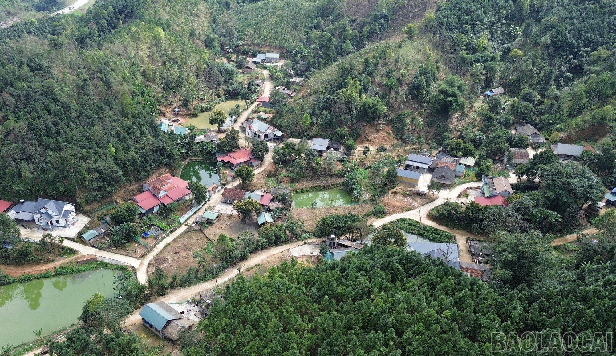baolaocai-br_dji-0227.jpg