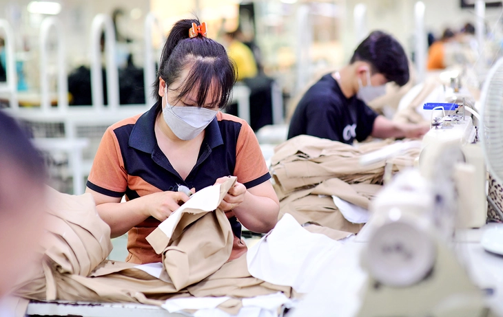 Làm gì để tăng thu nhập cho người lao động? - Ảnh 3.