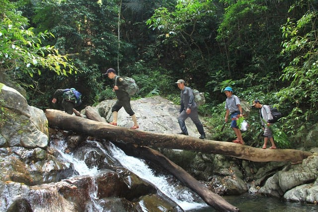 Nhân viên Khu Bảo tồn thiên nhiên Bắc Hướng Hóa khảo sát, điều tra động vật hoang dã. Ảnh: ĐỨC NGHĨA