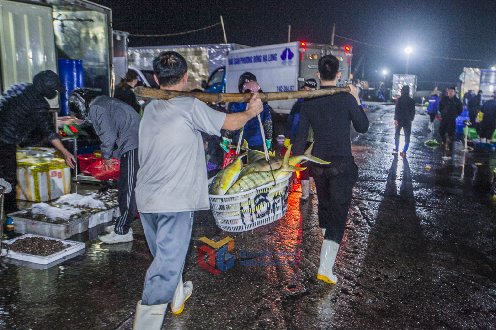 Des cages de poissons frais et délicieux sont transférées dans la voiture.