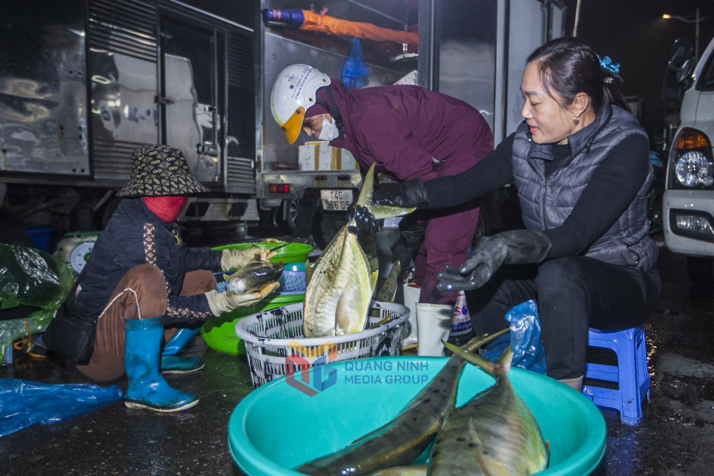 Les poissons sont soigneusement sélectionnés par les commerçants