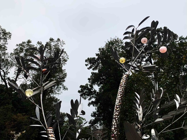 El árbol de caoba que cayó durante el tifón Yagi se ha transformado en una obra de arte (Foto 2).