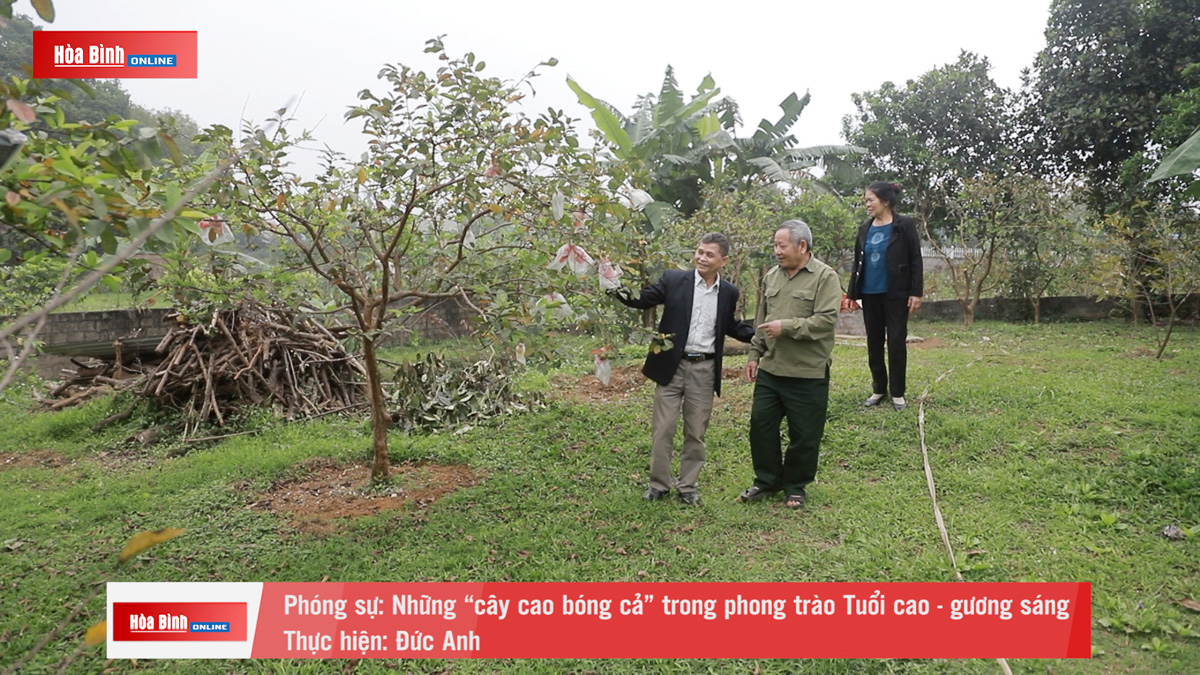 Những “cây cao bóng cả” trong phong trào Tuổi cao - gương sáng