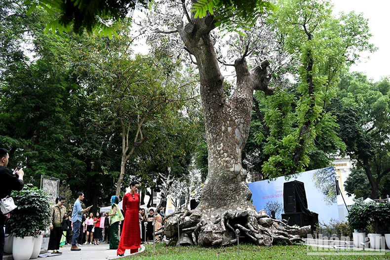 Inauguration du projet d'art public « Revival » au jardin fleuri de Co Tan photo 2