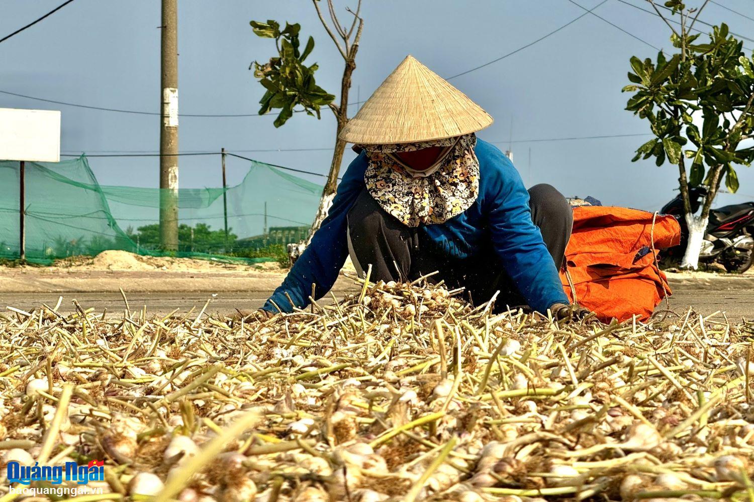អ្នកស្រី Pham Thi Tinh នៅភូមិ Tay An Hai (Ly Son) បាននិយាយថា 