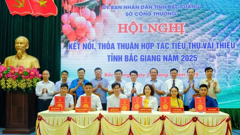 Ký kết hợp tác tiêu thụ vải thiều Bắc Giang năm 2025