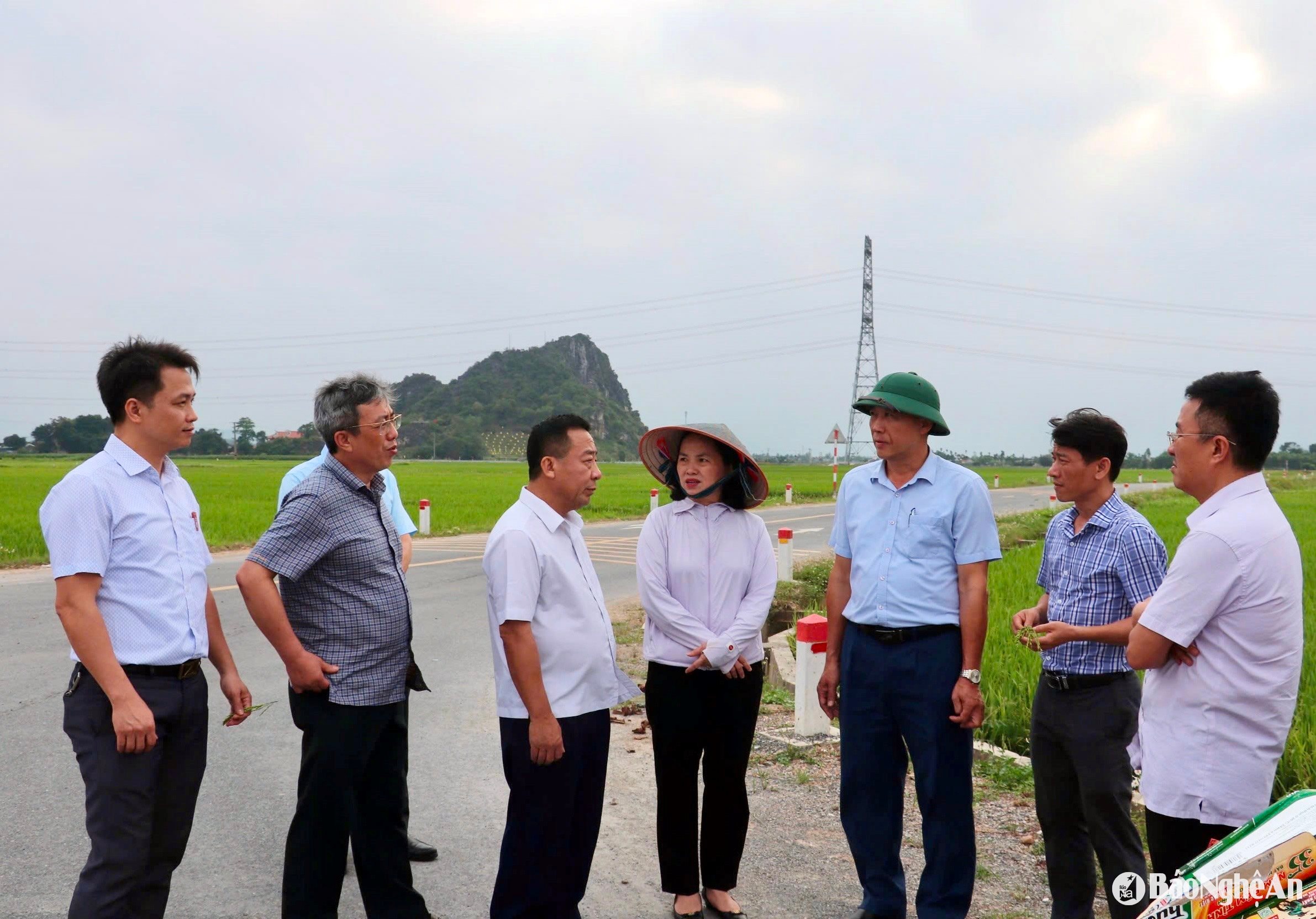 Đoàn công tác trao đổi với lãnh đạo huyện Diễn Châu về tình hình lúa vụ Xuân trổ không cúi trên địa bàn. Ảnh: Phú Hương
