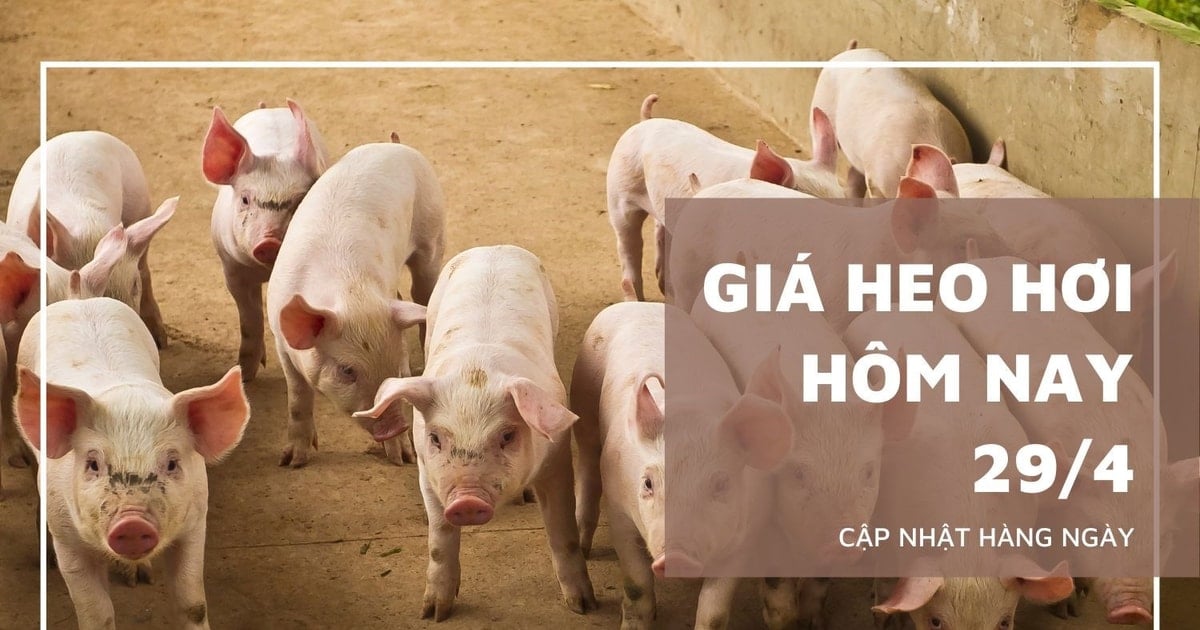 Đồng Nai và nhiều tỉnh phía Nam hạ nhiệt, rời...