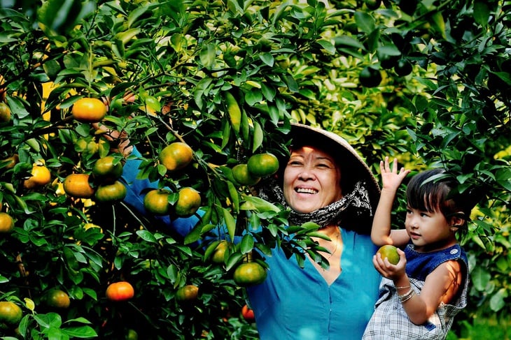 Trên miền ký ức - Ảnh 2.